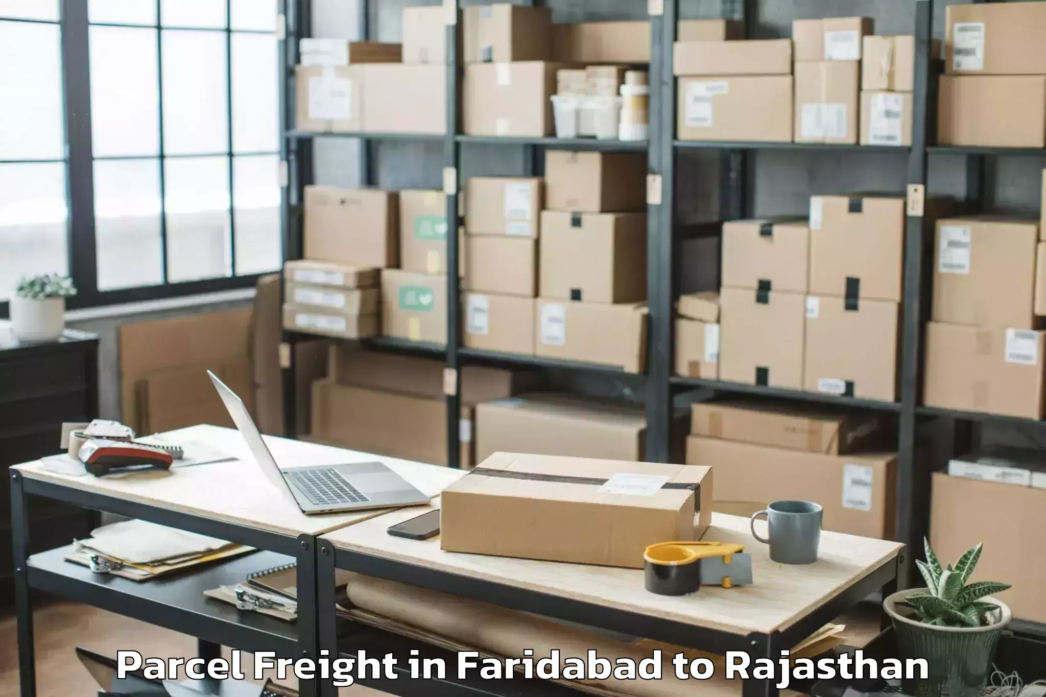 Leading Faridabad to Phulera Sambhar Parcel Freight Provider